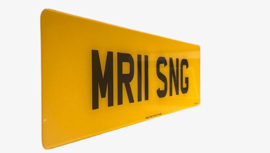 Oversized Rear Plate